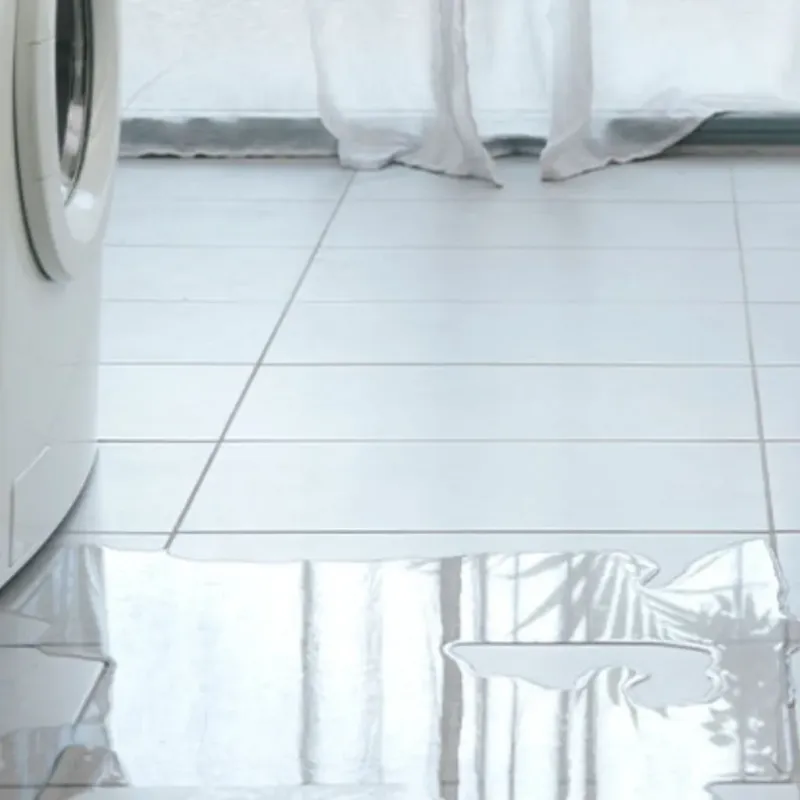 Appliance Leak Cleanup in Orting, WA