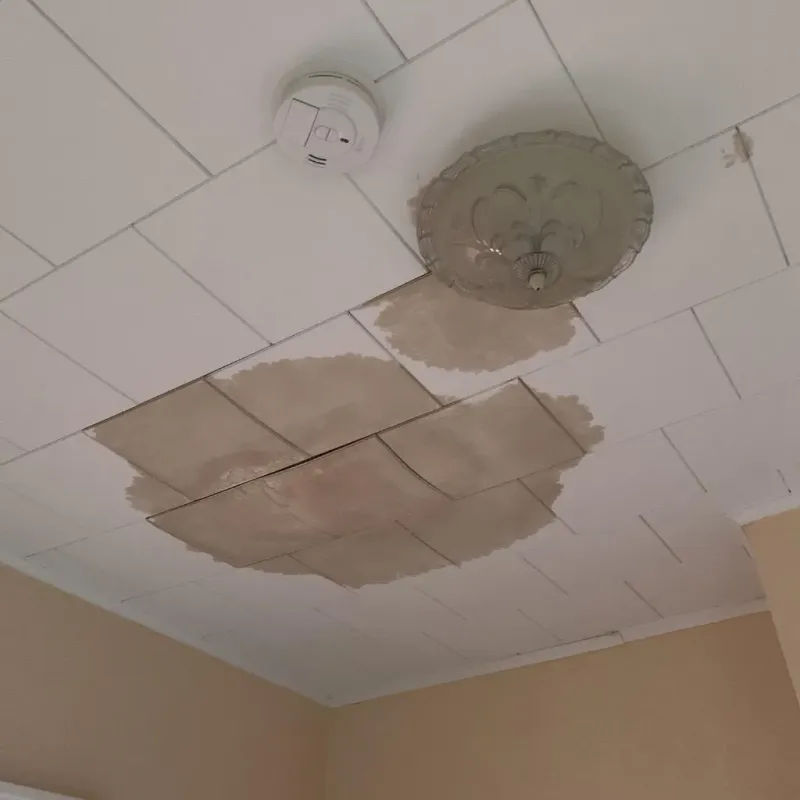Ceiling Water Damage Repair in Orting, WA