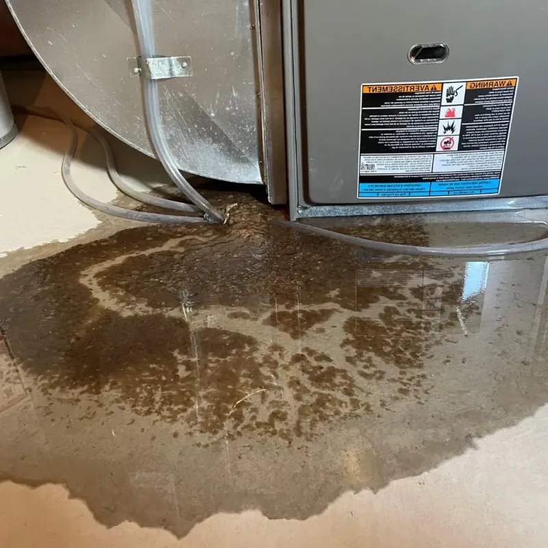 Pipe Burst and Leak Restoration in Orting, WA