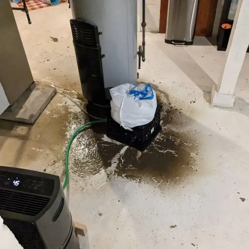 Sewage Backup Cleanup Service in Orting, WA